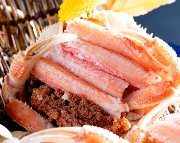 冬の味覚の頂点「香箱ガニ」2025年度受付スタート。"朝獲れ""生冷蔵"でお届けできるのは、年に一度の今だけ。