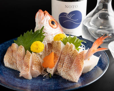 初登場 能登産「ノドグロ姿造り」朝獲れ当日出荷 春のお刺身お取り寄せ